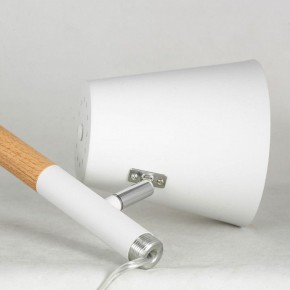 Торшер Lussole Buckeye LSP-0628 в Ханты-Мансийске - hanty-mansiysk.mebel24.online | фото 4