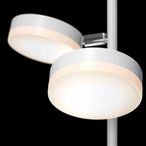 Торшер Maytoni Fad MOD070FL-L12W3K в Ханты-Мансийске - hanty-mansiysk.mebel24.online | фото 5