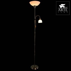 Торшер с подсветкой Arte Lamp Duetto A9569PN-2AB в Ханты-Мансийске - hanty-mansiysk.mebel24.online | фото 3