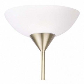 Торшер с подсветкой Arte Lamp Duetto A9569PN-2AB в Ханты-Мансийске - hanty-mansiysk.mebel24.online | фото 5