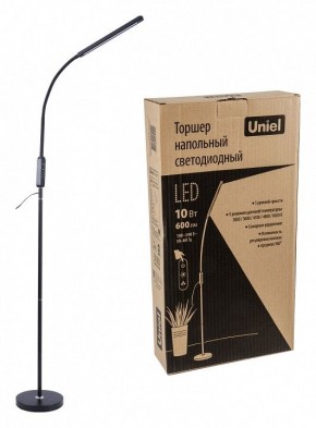 Торшер Uniel ULM-T619 UL-00010178 в Ханты-Мансийске - hanty-mansiysk.mebel24.online | фото 4