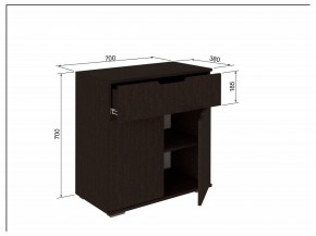 Тумба 2Я-03 в Ханты-Мансийске - hanty-mansiysk.mebel24.online | фото 3