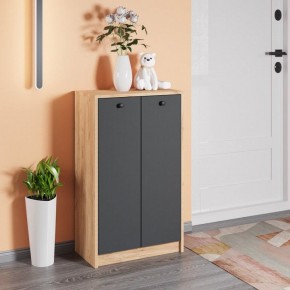 Тумба для обуви Рино в Ханты-Мансийске - hanty-mansiysk.mebel24.online | фото 3