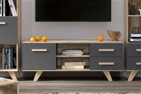 Тумба под ТВ Вега Скандинавия в Ханты-Мансийске - hanty-mansiysk.mebel24.online | фото 4
