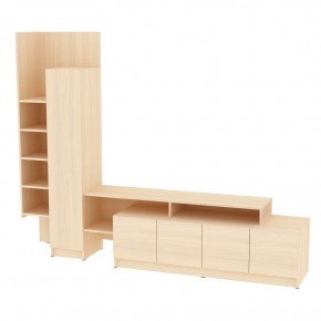 ТВ стенка TV45 в Ханты-Мансийске - hanty-mansiysk.mebel24.online | фото 10