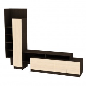 ТВ стенка TV45 в Ханты-Мансийске - hanty-mansiysk.mebel24.online | фото 9