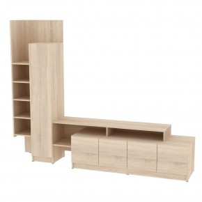 ТВ стенка TV45 (ДСС) в Ханты-Мансийске - hanty-mansiysk.mebel24.online | фото