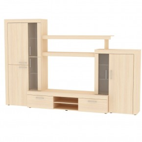 ТВ стенка TV51 в Ханты-Мансийске - hanty-mansiysk.mebel24.online | фото 10
